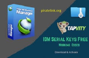 IDM Crack 6.41 Build 6 Patch + Serial Key [Latest 2023]