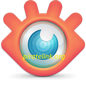 XnView 2.51.4 Crack With License Key [Latest 2022]